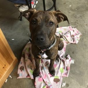 Meet your Posher, Donelle